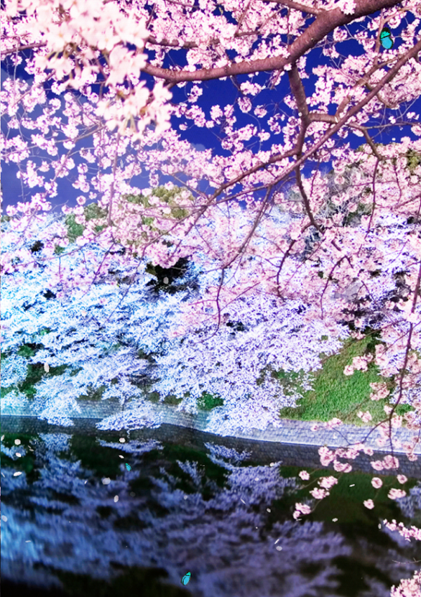 「Spring Trees Live Wallpaper」のスクリーンショット 3枚目