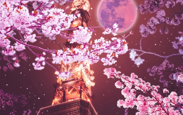 「東京タワーと月と桜　ライブ壁紙」のスクリーンショット 1枚目