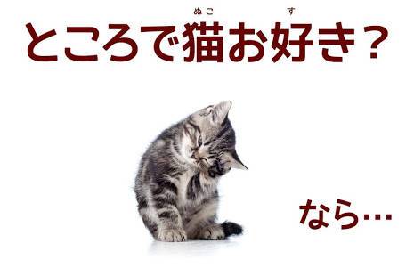 「猫メモ帳・無料」のスクリーンショット 3枚目