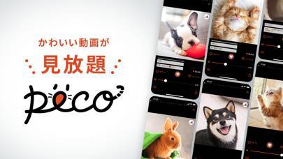 「PECO(ペコ)：可愛いどうぶつ動画・迷子サポートサービス」のスクリーンショット 1枚目