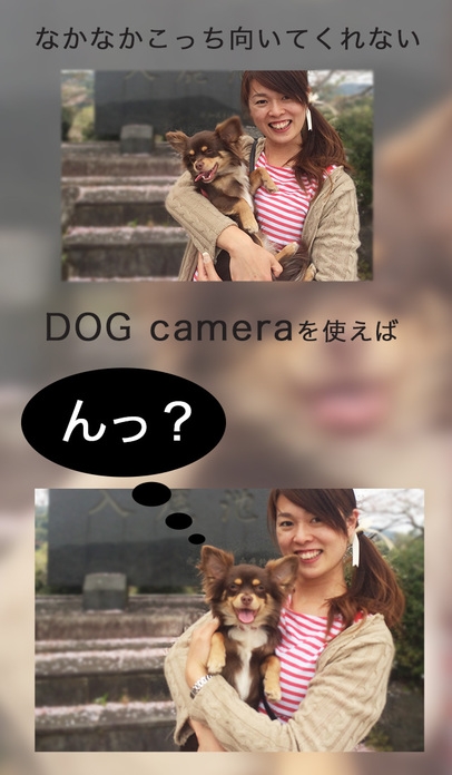 「Dog camera（愛犬のカメラ目線カメラ）」のスクリーンショット 2枚目