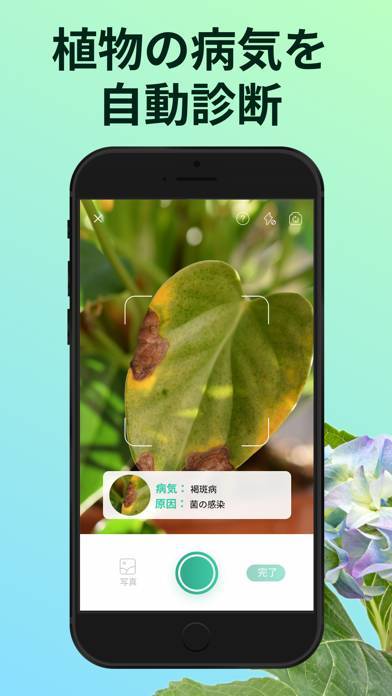 22年 植物図鑑 花の名前がわかるアプリおすすめランキングtop10 Iphone Androidアプリ Appliv