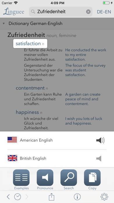 「Dictionary Linguee」のスクリーンショット 3枚目