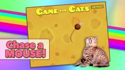 「Game for Cats」のスクリーンショット 1枚目