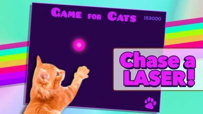 「Game for Cats」のスクリーンショット 2枚目