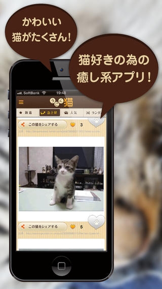 「うごく猫　-激かわ猫満載のうごく猫GIFまとめアプリ。毎日更新される爆笑ねこGIFや癒しねこGIFがいつでも見れる-」のスクリーンショット 1枚目