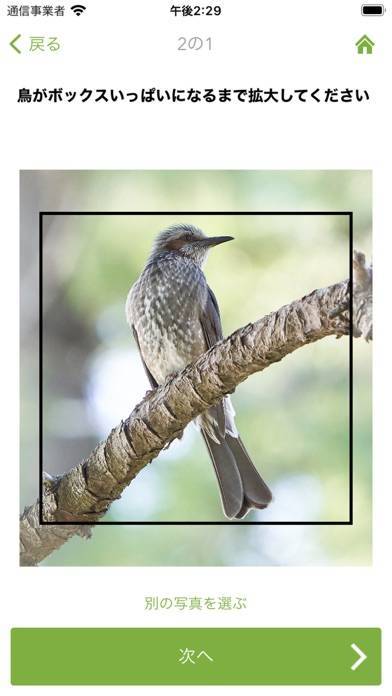 「Merlin Bird ID by Cornell Lab」のスクリーンショット 3枚目