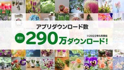 22年 植物図鑑 花の名前がわかるアプリおすすめランキングtop10 Iphone Androidアプリ Appliv