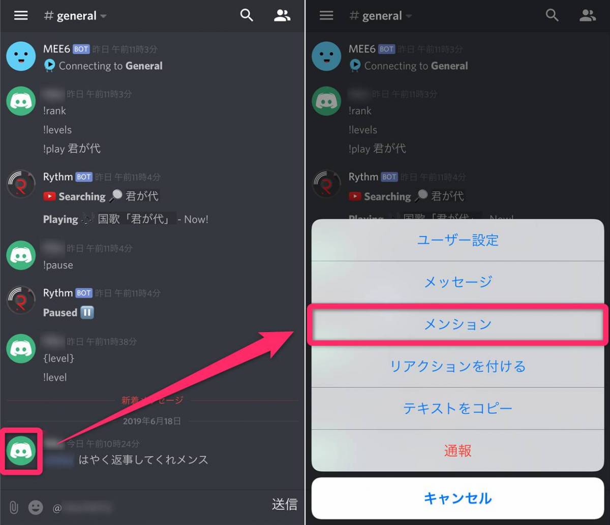 Discord bot 入れ 方