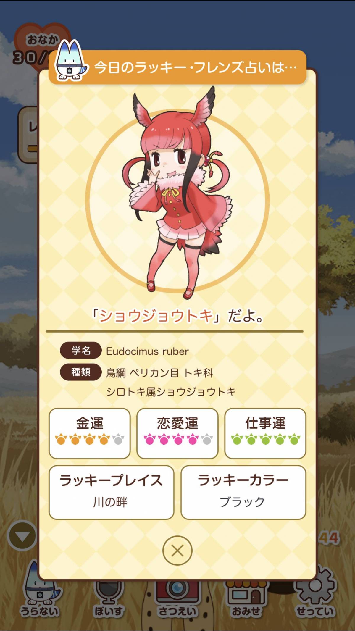 けものフレンズ 公式ゲーム アプリ5本 いっぱい遊んで たーのしー Appliv Topics