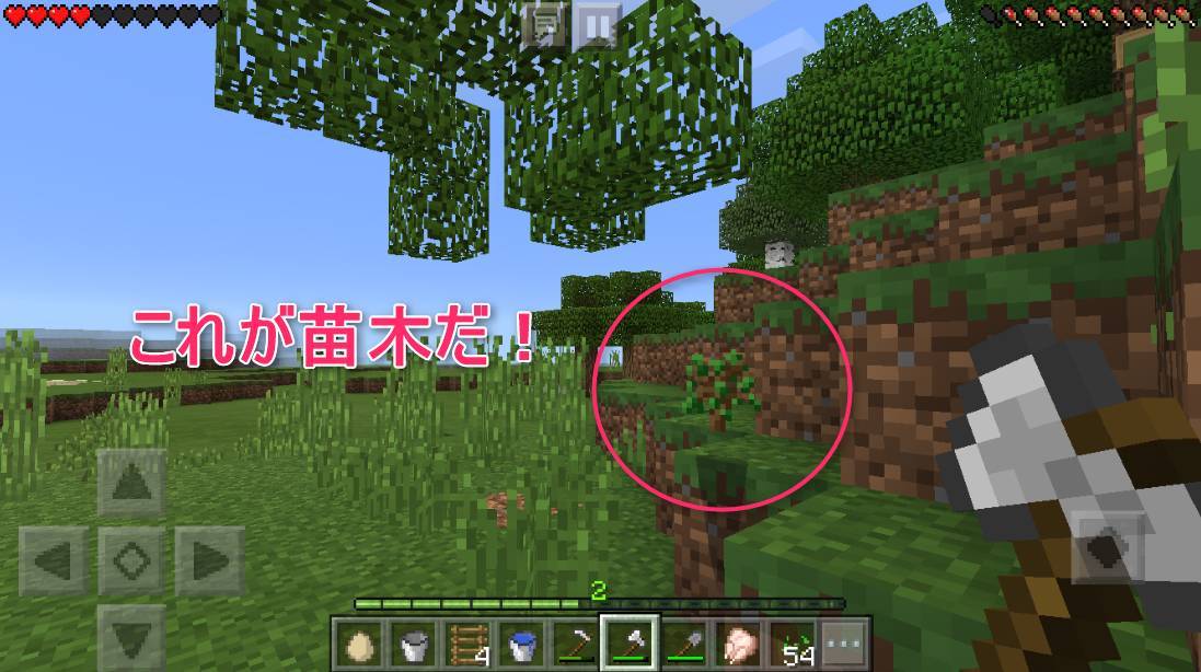 マイクラの植林テクニック 木材不足で悩んでいる人必見 Appliv Topics