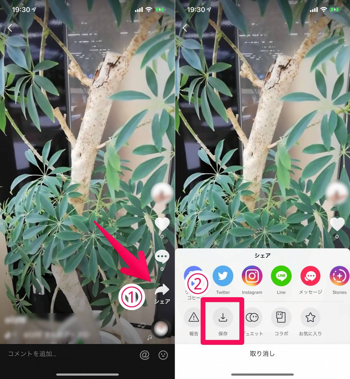 Tiktok 動画の保存方法 ダウンロードできない時の対処法 Iphone Android の画像 1枚目 Appliv Topics