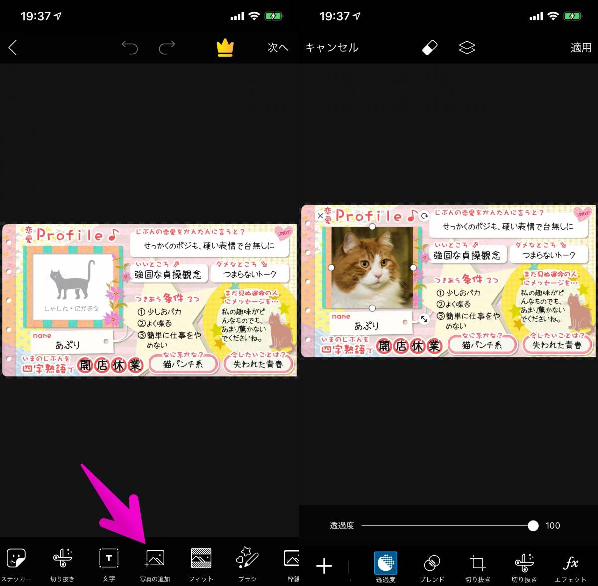かなり当たる 勝手にプロフィール帳 恋愛編 が流行中 恋愛観を診断 の画像 8枚目 Appliv Topics