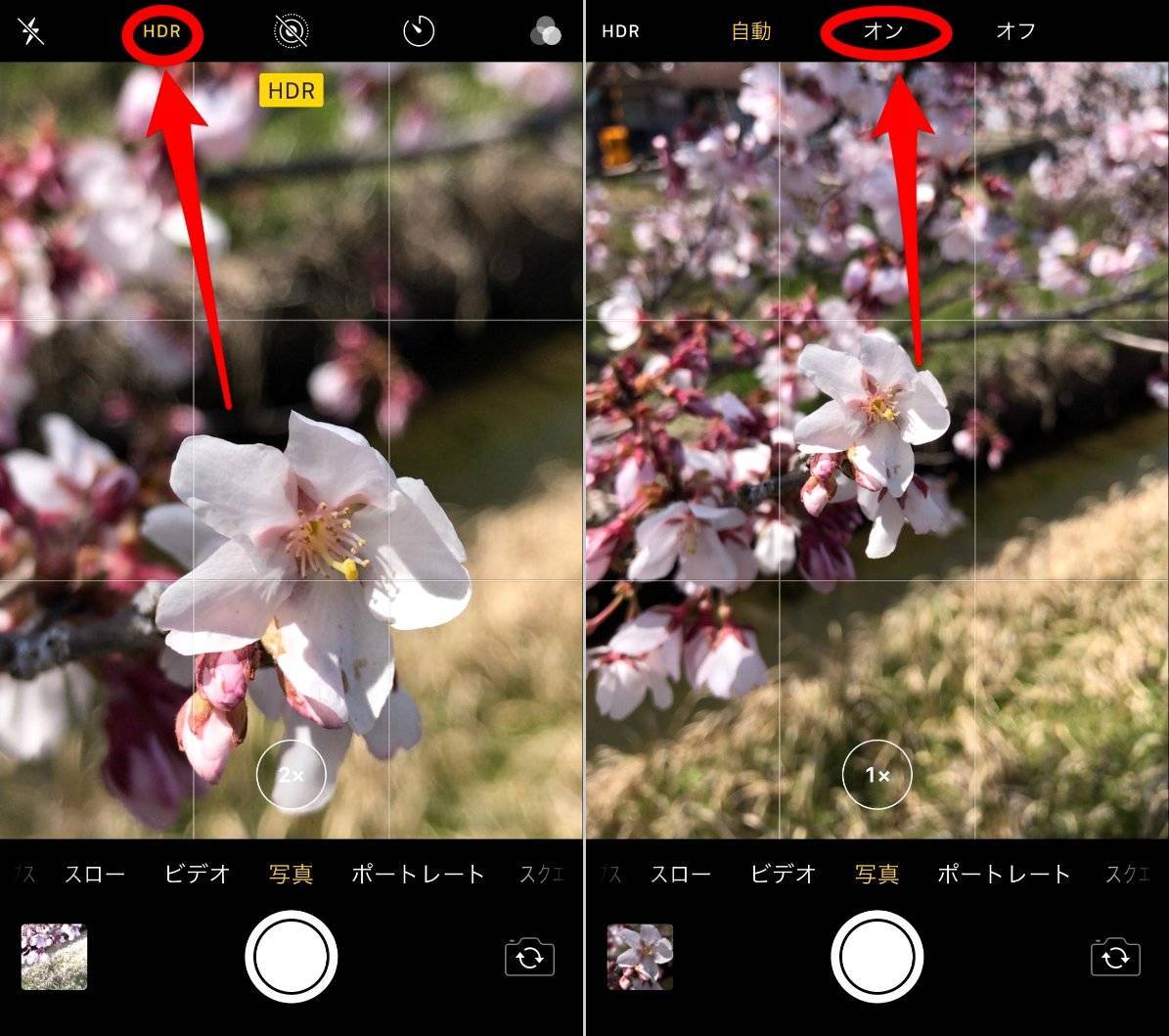 Iphoneカメラの接写 マクロ撮影 方法 綺麗な撮り方 設定を徹底解説 Appliv Topics