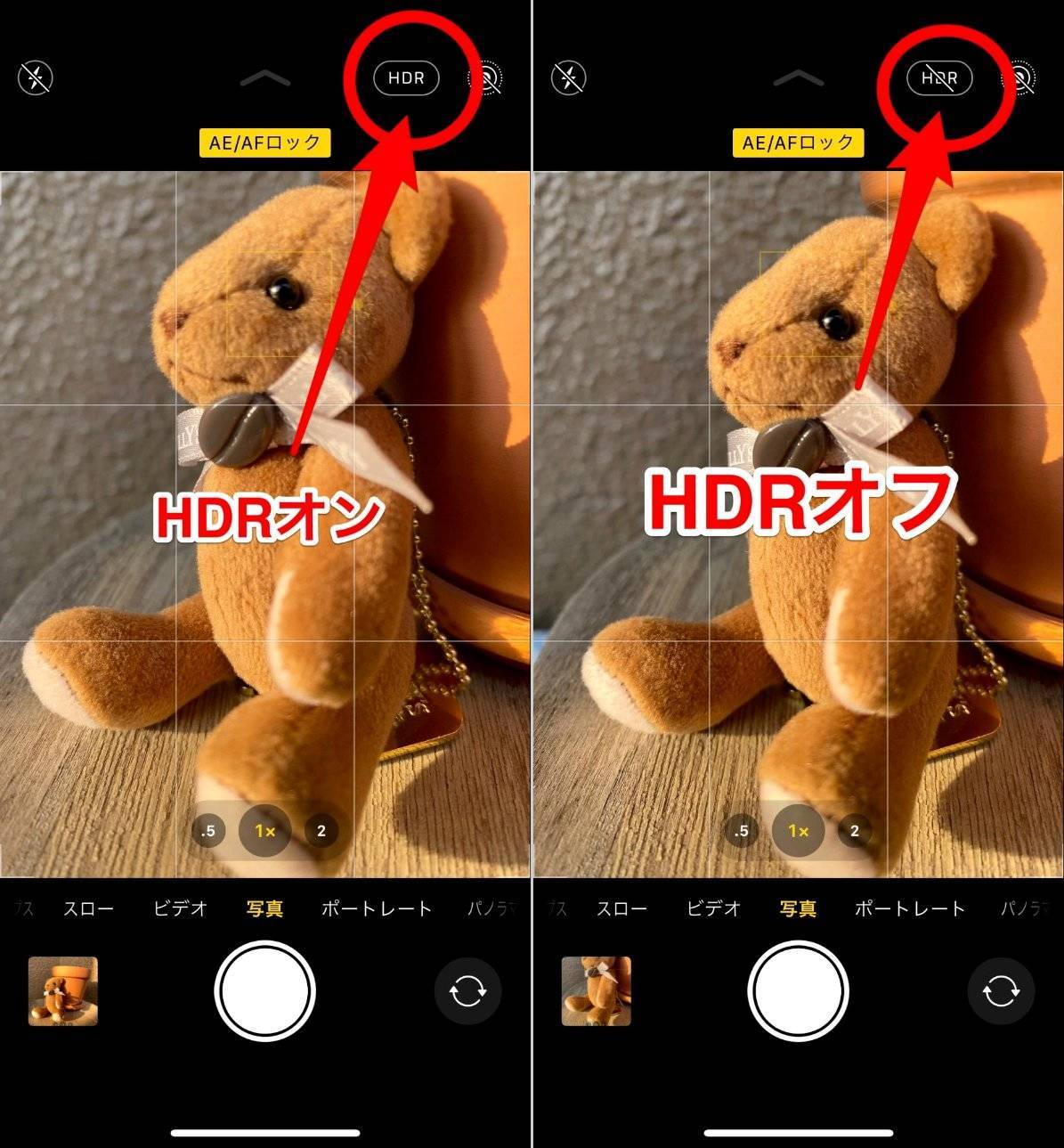 Iphoneカメラの接写 マクロ撮影 方法 綺麗な撮り方 設定を徹底解説の画像 5枚目 Appliv Topics
