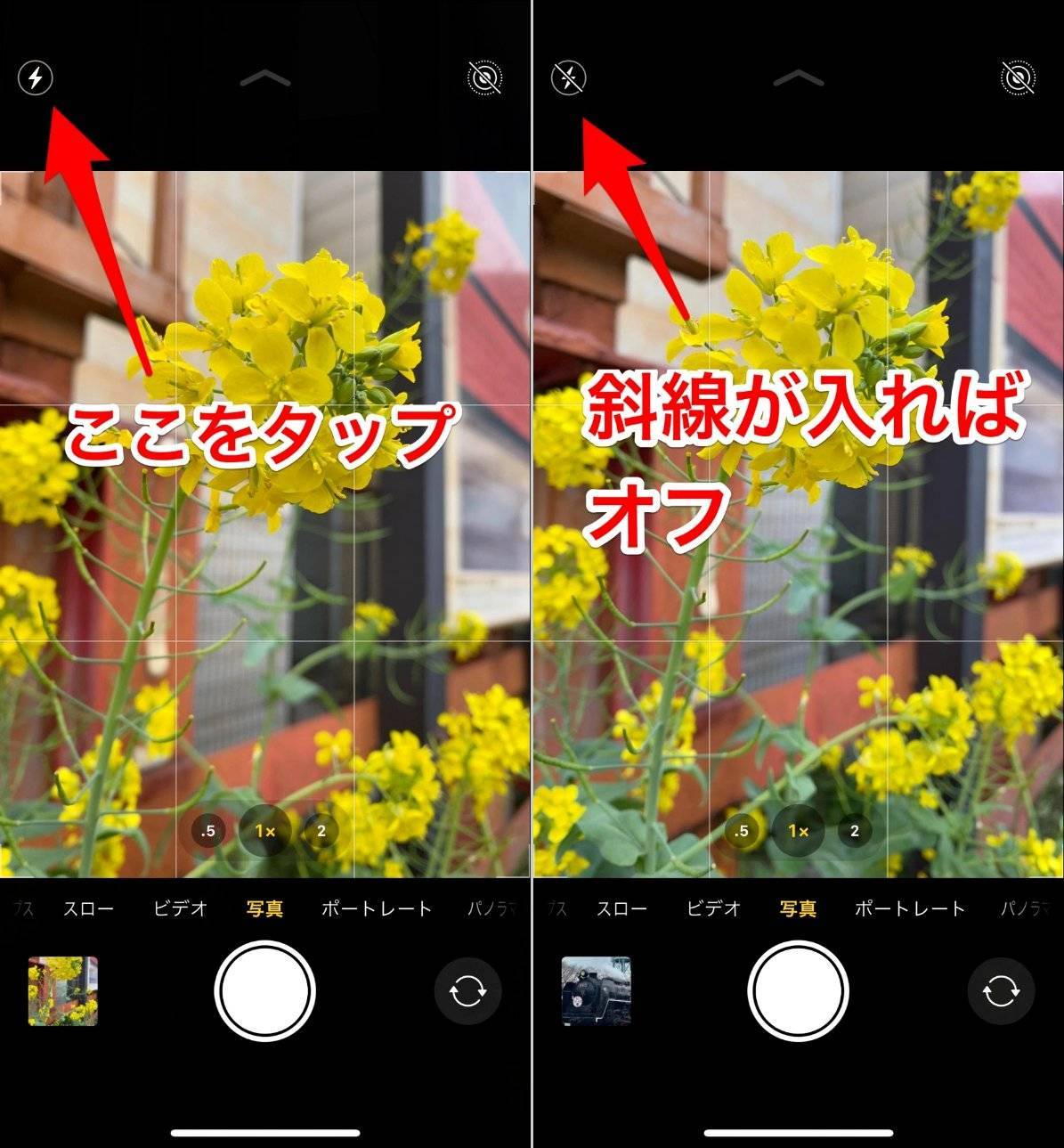Iphoneカメラの接写 マクロ撮影 方法 綺麗な撮り方 設定を徹底解説の画像 8枚目 Appliv Topics