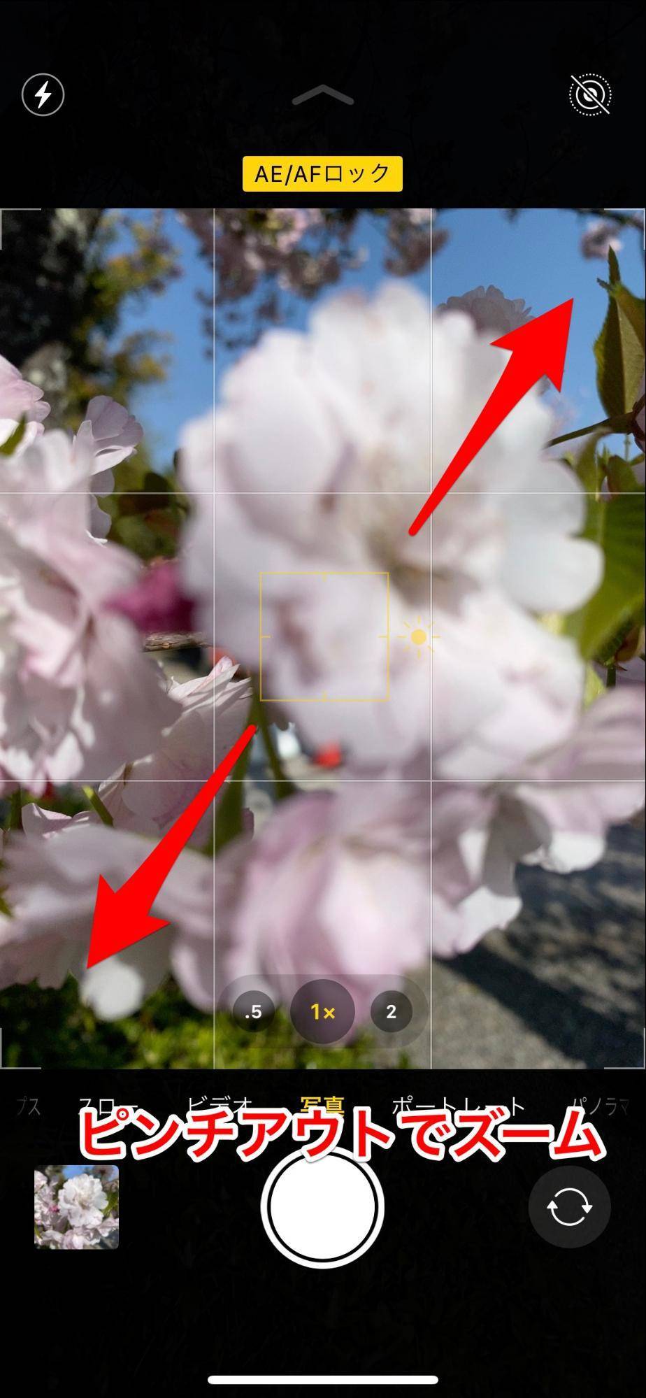 Iphoneカメラの接写 マクロ撮影 方法 綺麗な撮り方 設定を徹底解説 Appliv