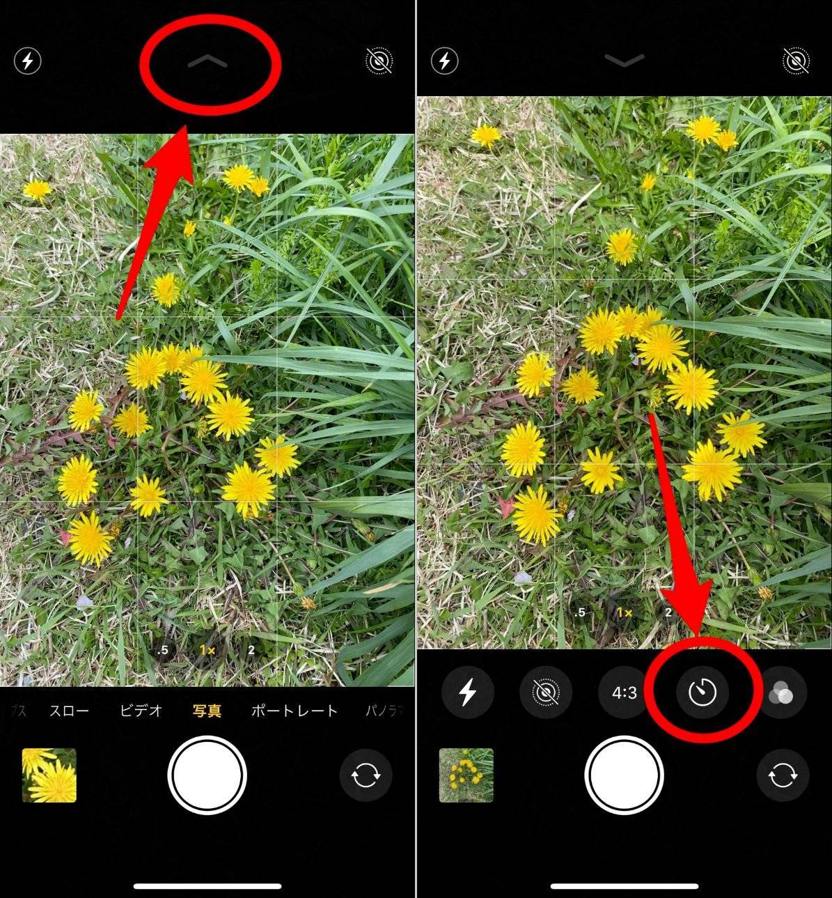 Iphoneカメラの接写 マクロ撮影 方法 綺麗な撮り方 設定を徹底解説の画像 枚目 Appliv Topics