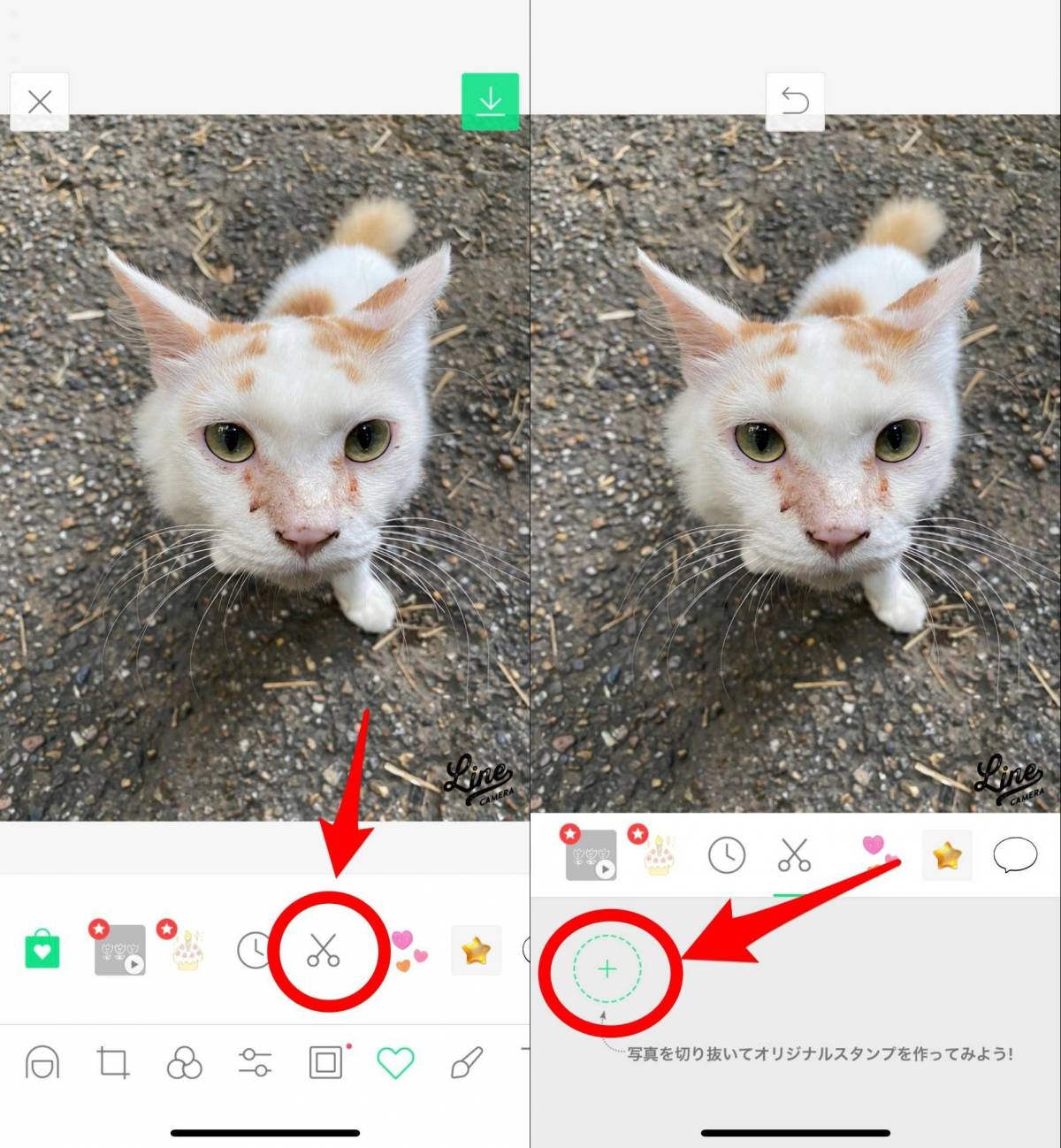 Line Camera ラインカメラ の使い方 設定から人気の加工まで徹底解説 Appliv Topics