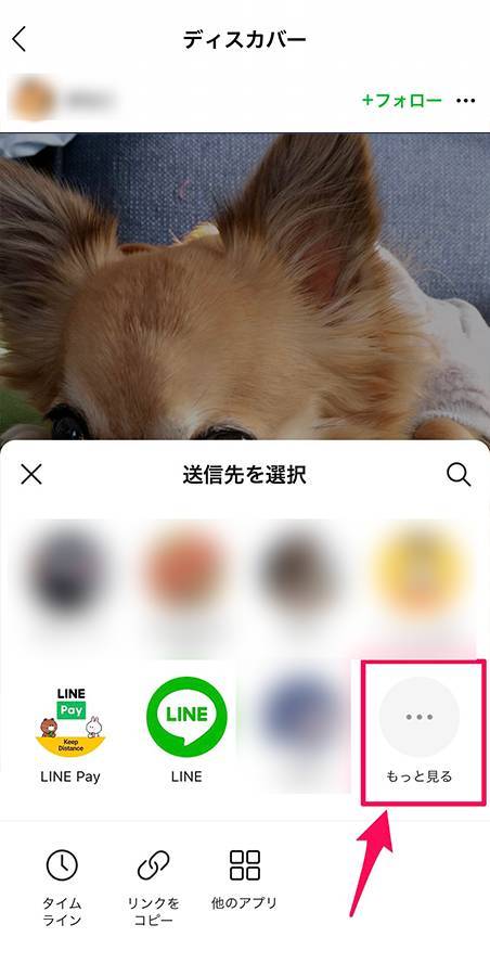 ディスカバー ライン