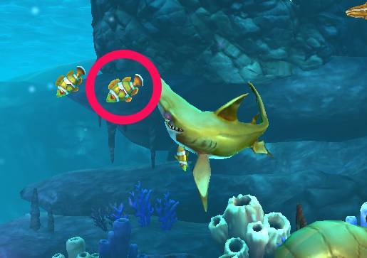 魚図鑑片手に ハングリーシャークワールド の海洋生物を調査してきた Appliv Topics