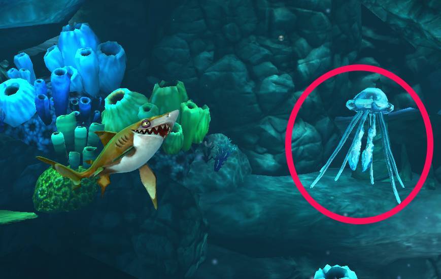 魚図鑑片手に ハングリーシャークワールド の海洋生物を調査してきた Appliv Topics