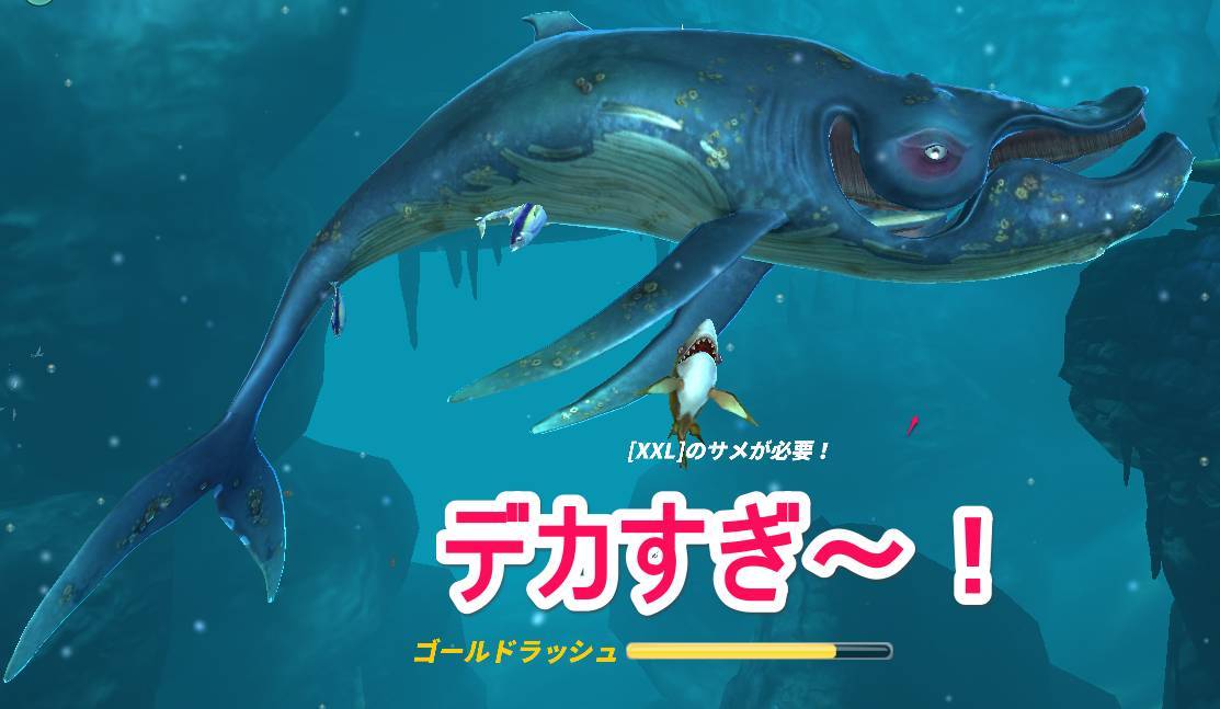 魚図鑑片手に ハングリーシャークワールド の海洋生物を調査してきた Appliv Topics