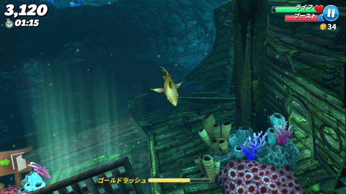 魚図鑑片手に ハングリーシャークワールド の海洋生物を調査してきた Appliv Topics