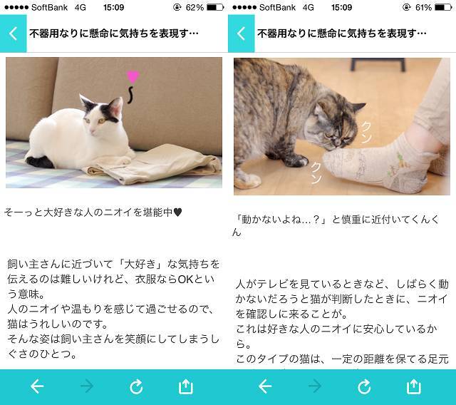 そのネコちゃんの仕草 助けを求めてない 飼い主が知っておくべき3つの行動 Appliv Topics