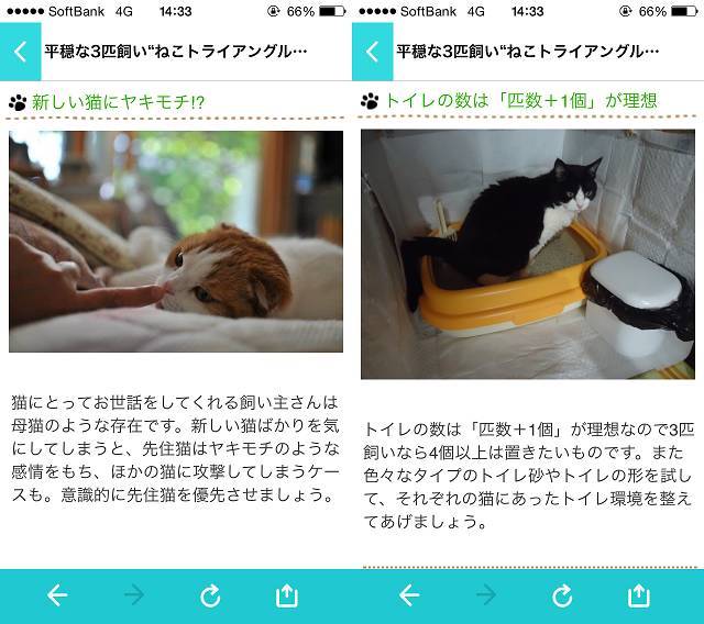 そのネコちゃんの仕草 助けを求めてない 飼い主が知っておくべき3つの行動 Appliv Topics