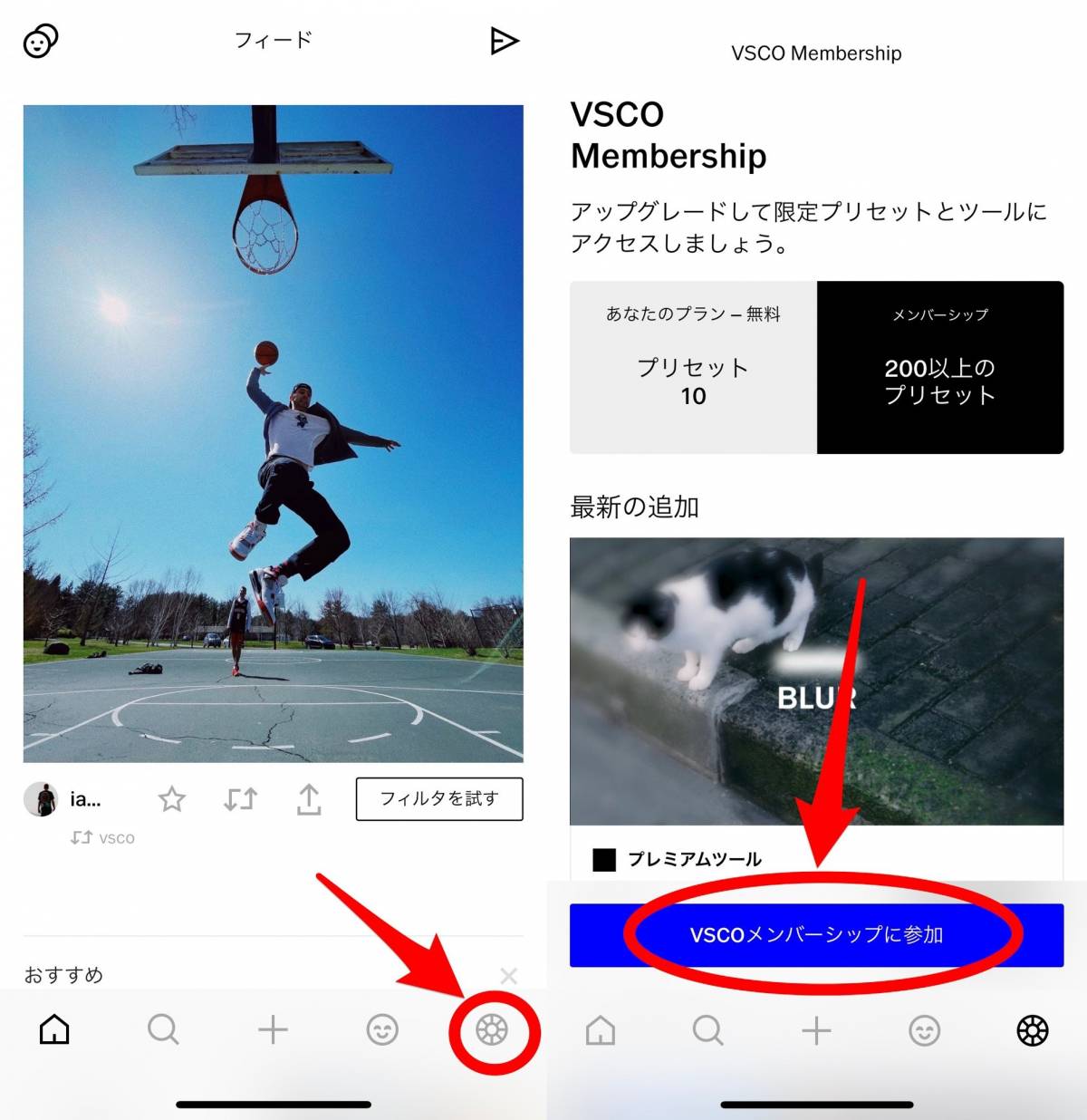 写真加工アプリ Vsco の使い方 無料で使う方法 メンバーシップの加入 退会 Appliv Topics