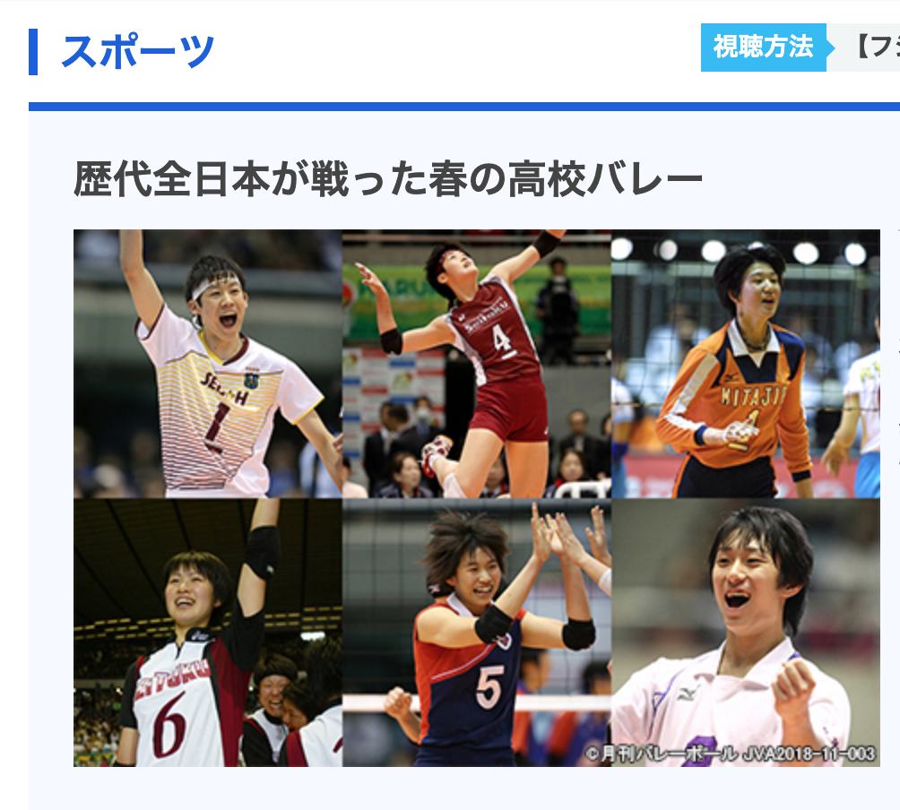 バレーボールの中継 配信を観られる動画サービス8選 Vリーグや石川祐希選手の試合も Appliv Topics