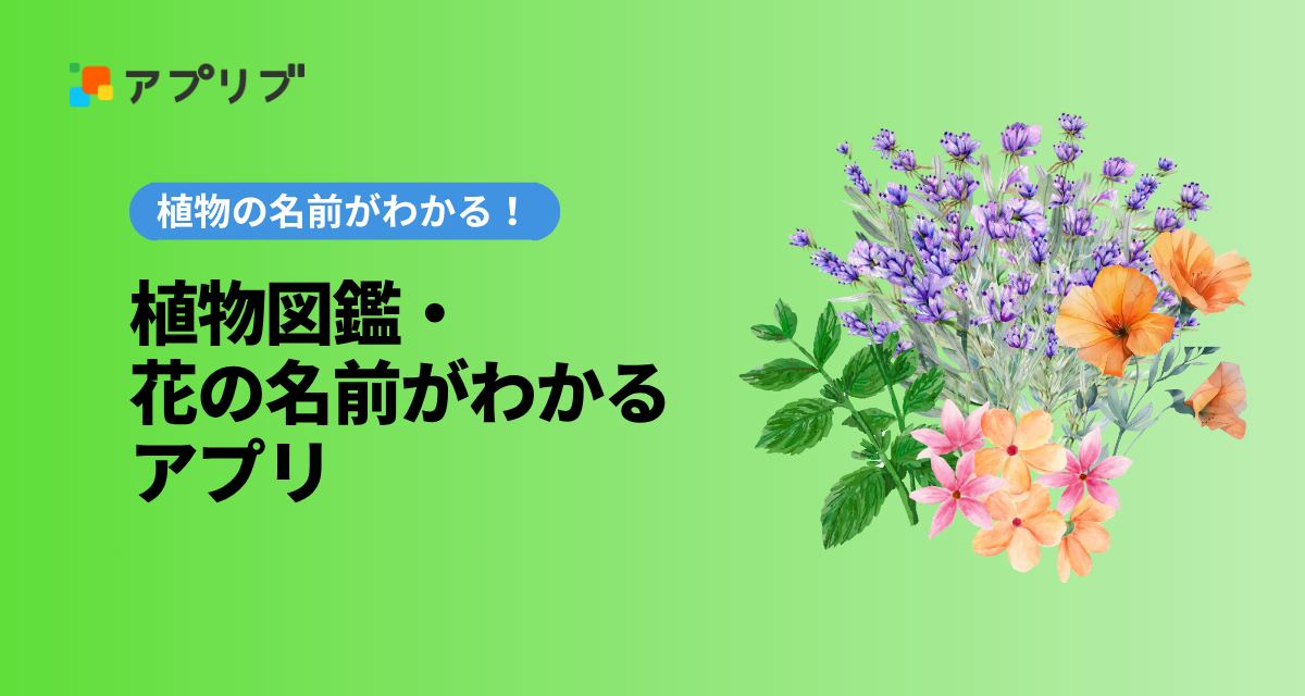植物図鑑・花の名前がわかるアプリおすすめ
