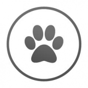 iPhone、iPadアプリ「Talk to Cat - Human to Cat translator, talk to your pet with voice-to-cat translator」のアイコン