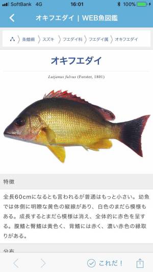 すぐわかる 魚みっけ Appliv