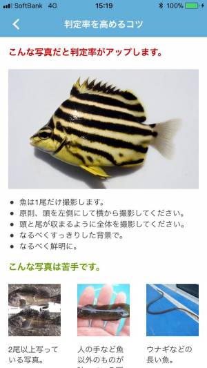 すぐわかる 魚みっけ Appliv