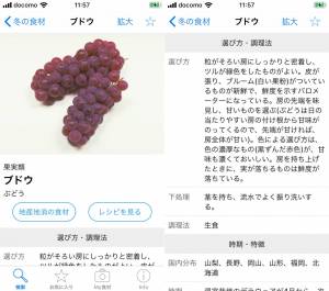 すぐわかる E食材辞典 For Iphone Appliv