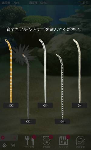 すぐわかる 癒しのチンアナゴ育成ゲーム 癒しの育成ゲームシリーズ Appliv