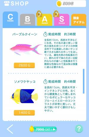 Appliv スマホをやめれば魚が育つ