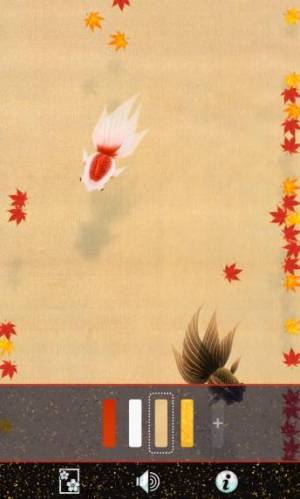 すぐわかる Wa Kingyo Le 和金魚le Appliv