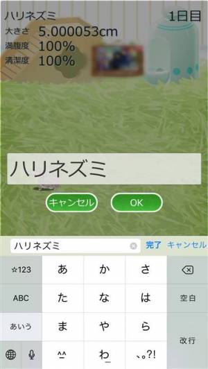 Appliv 癒しのハリネズミ育成ゲーム