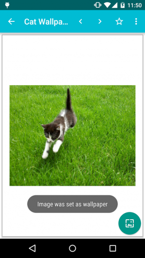 21年 おすすめの無料動物の壁紙を探すアプリはこれ アプリランキングtop1 Iphone Androidアプリ Appliv