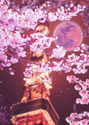 Appliv 東京タワーと月と桜 ライブ壁紙