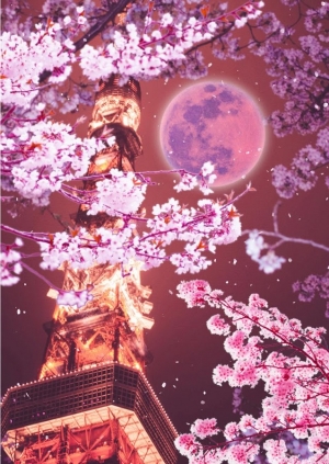 Appliv 東京タワーと月と桜 ライブ壁紙