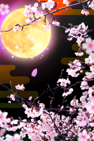 画像をダウンロード Pc 壁紙 夜桜 ただ素晴らしい花
