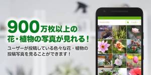 年 おすすめのガーデニング 家庭菜園アプリはこれ アプリランキングtop9 Androidアプリ Appliv