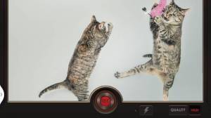 Appliv スローモーションビデオfx