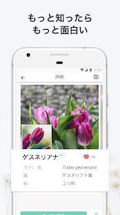 すぐわかる Picturethis 撮ったら 判る 1秒植物図鑑 Appliv