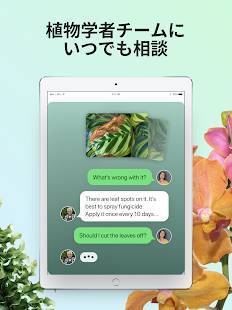 Androidアプリ「PictureThis：撮ったら、判る-1秒植物図鑑」のスクリーンショット 5枚目
