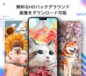 21年 おすすめの写真 画像 壁紙を探すアプリはこれ アプリランキングtop10 Iphone Androidアプリ Appliv